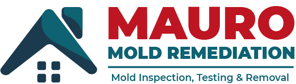 mauromoldremediation.com